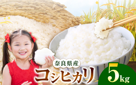 奈良県産 コシヒカリ 精米 5kg | 米 精米 コシヒカリ もちもち 奈良県 五條市