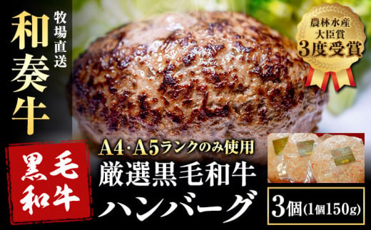 厳選くまもと黒毛和牛ハンバーグ 3個 (1個150g)《30日以内に出荷予定(土日祝除く)》熊本県 大津町 和牛焼肉LIEBE くまもと黒毛和牛 ハンバーグ 冷凍 リーベ