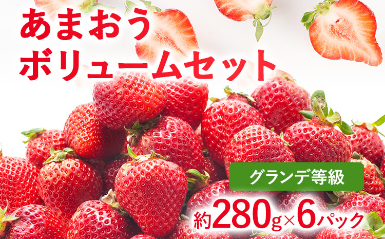 
            【2026年発送先行予約】あまおうボリュームセット(約280g x G6パック) お取り寄せグルメ お取り寄せ 福岡 お土産 九州 福岡土産 取り寄せ グルメ 福岡県
          