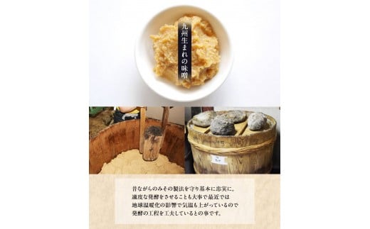 「田河東洋男商店」 ふるさと 簡単味噌汁ギフト 14g×20食分 《14日以内に出荷予定(土日祝除く)》 熊本県氷川町産---sh_tagawamiso_z_21_14000_20p---