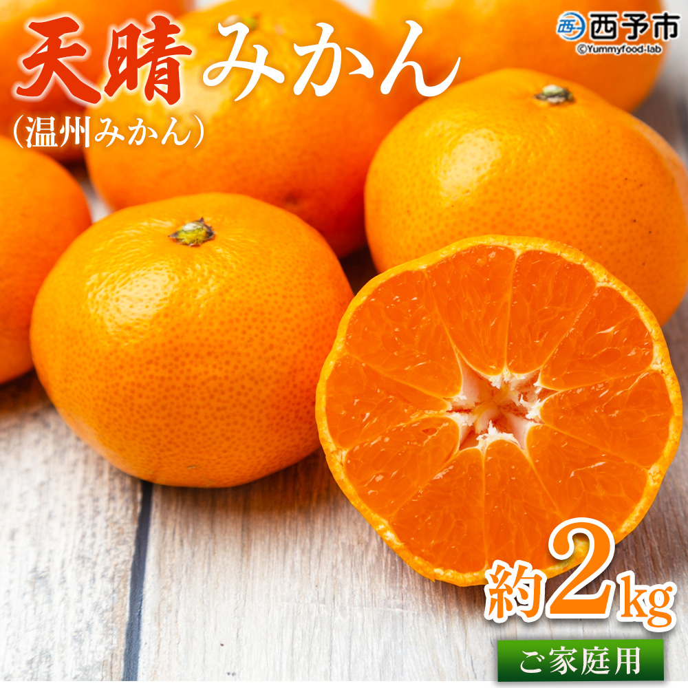 先行予約 ＜愛媛県明浜産 天晴みかん（温州みかん）約2kg＞ 家庭用 訳あり ワケアリ 自宅用 果物 くだもの フルーツ ミカン 柑橘 株式会社笑丸（ニコマル） 食べて応援 特産品 産地直送 愛媛県 西予市【常温】『2025年11月中旬〜2026年1月上旬迄に順次出荷予定』