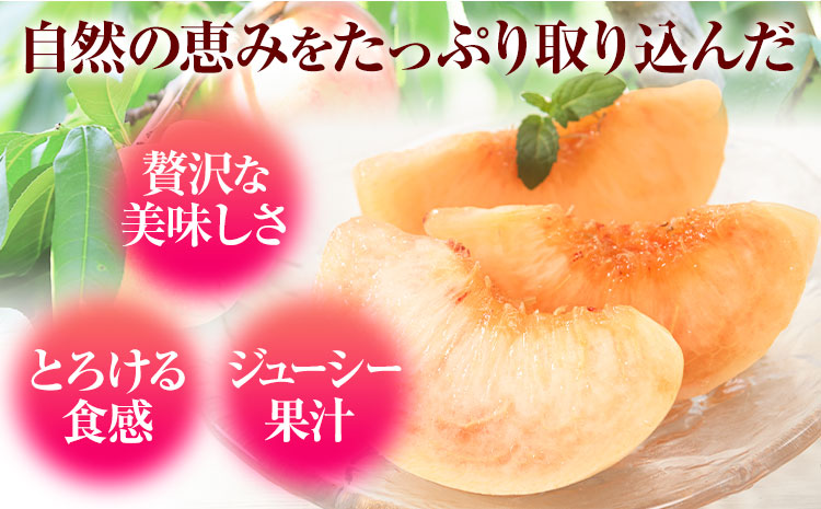 【先行予約】桃 もも 紀の里の桃 約2kg 《2025年6月中旬-8月中旬頃出荷》 和歌山県産 送料無料 6〜8玉入り 旬の桃を厳選  あかつき モモ 果物 フルーツ お取り寄せ 予約 和歌山 白鳳 
