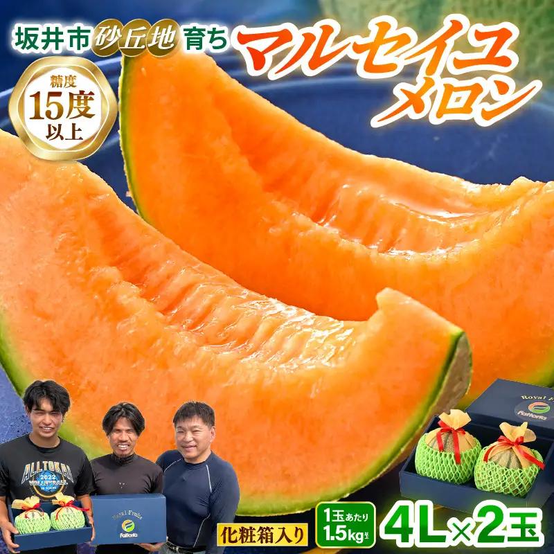 マルセイユメロン 4L 2玉 化粧箱入り 2027年6月中旬以降順次発送 メロン フルーツ 赤肉 贈答 ギフト [A-19111]