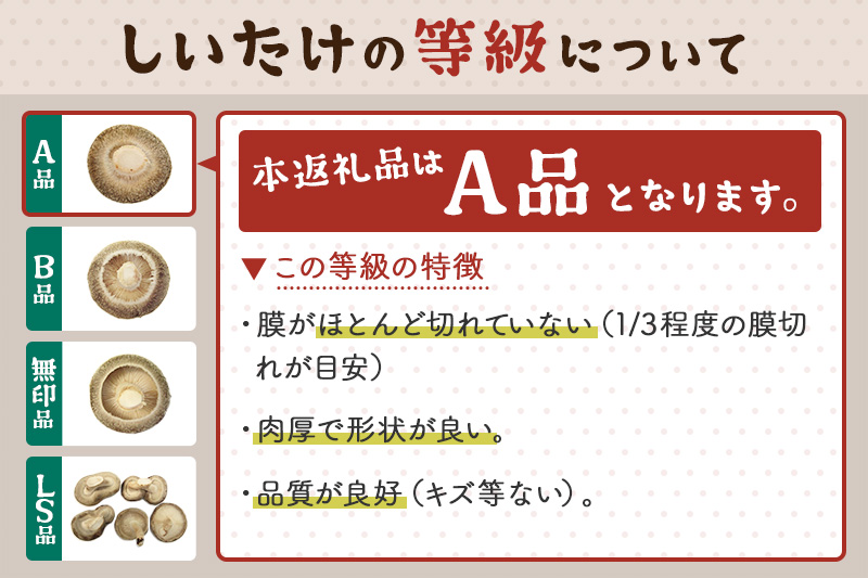 しいたけ A品 6M（約100g）×30パック