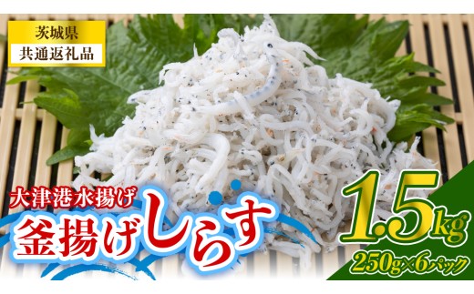 大津港水揚げの釜揚げしらす 1.5kg(250g×2パック×3箱) (茨城県共通返礼品:北茨城市) 冷凍  小分け パック 少量 釜揚げ ごはん ご飯 丼 海鮮 魚 名物 グルメ 茨城県 魚介類 ちりめん シラス しらす じゃこ サラダ ふるさと納税 人気 料理（BC010）