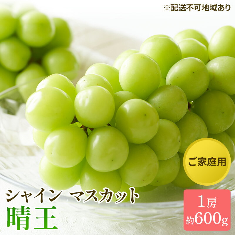 【ふるさと納税】ぶどう 2026年 先行予約 ご家庭用 シャイン マスカット 晴王 約600g×1房 ブドウ 葡萄 岡山県産 国産 フルーツ 果物 太陽 美しい 外観 大粒 高糖度 種なし 皮ごと 弾力 食感 美味しい 　お届け：2026年8月下旬～2026年11月下旬