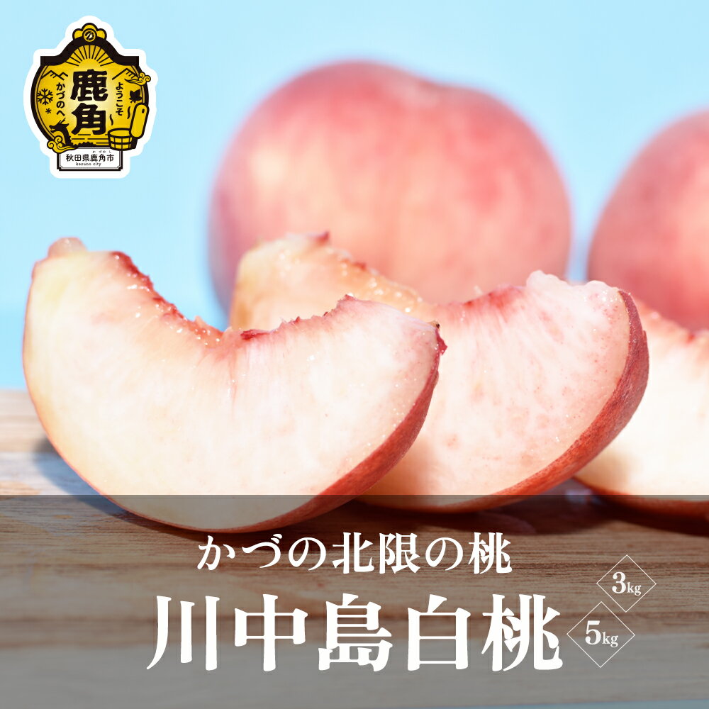 【ふるさと納税】 桃 《 先行予約 》かづの北限の桃「 川中島白桃 」選べる 3kg / 5kg もも モモ 桃 お盆 お見舞い 川中島白桃 完熟 国産桃 お中元 お歳暮 母の日 父の日 贈り物 贈答用 グルメ ギフト 故郷 秋田 あきた 鹿角市 鹿角 送料無料 【佐藤秀果園】