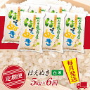 【ふるさと納税】【定期便】【白米】 山形県産 はえぬき 5kg (5kg×1) 6回配送