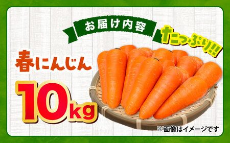 春にんじん10kg にんじん BHCW001