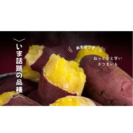 8-012-008　さつまいも（あまはづき）5kg【マルゼン佐藤果樹園】