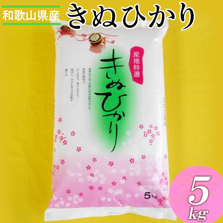 和歌山県産キヌヒカリ 5kg（2024年産）◇  ※2024年9月中旬～2025年9月上旬頃に順次発送