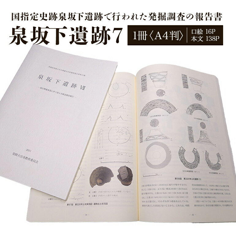 【ふるさと納税】泉坂下遺跡7 1冊 弥生時代 考古学 遺跡 発掘 調査報告書 歴史 資料 報告書 発掘調査 茨城県 送料無料 【常陸大宮市教育委員会事務局文化スポーツ課】 【ho1313】