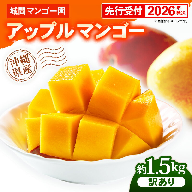【ふるさと納税】【先行受付】【2026年発送】城間マンゴー園のアップルマンゴー 訳あり 約1.5kg - 先行予約 沖縄県産 産地直送 南国フルーツ 旬の味覚 季節の果物 ご自宅用 訳アリ 家庭用 沖縄マンゴー 沖縄県 八重瀬町