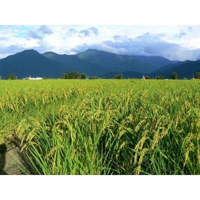 ふるさと納税 南魚沼市 令和6年産 《語り伝えられる地》南魚沼しおざわ産コシヒカリ10Kg(玄米) |  | 03