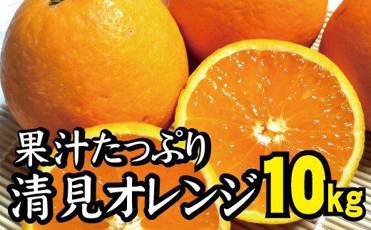 
【農家直送】果汁たっぷり！清見オレンジ 約10kg サイズお任せ 有機質肥料100% ※2024年3月上旬より順次発送予定（お届け日指定不可）/ミカン 蜜柑 柑橘 清見 清見オレンジ フルーツ 果物
