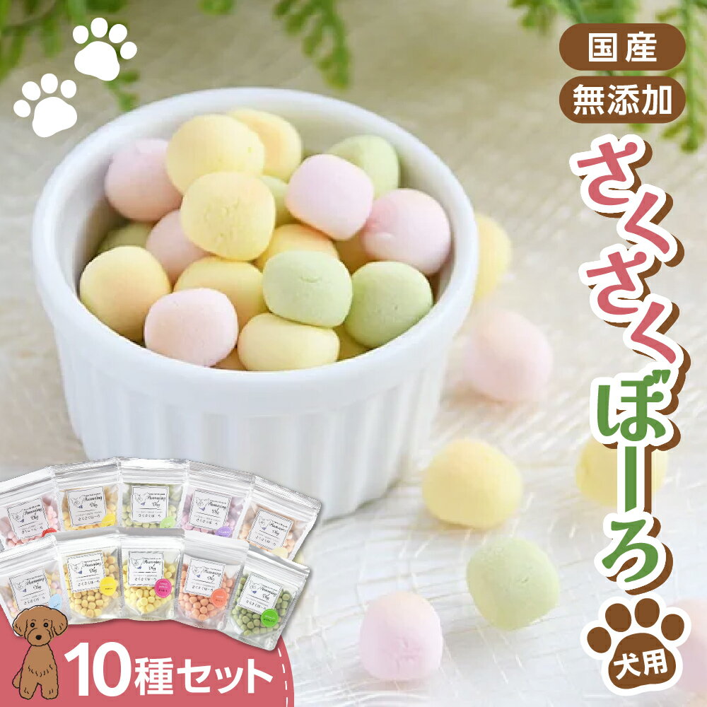 【ふるさと納税】 ペットフード 10個セット さくさくぼーろ オヤツ おやつ ペット ご褒美 子犬 成犬 老犬 犬のいる暮らし ボーロ トマト ブルーベリー ミックス ヤギミルク アップル バナナ ほうれんそう さつまいも にんじん かぼちゃ Humming Dog 北海道 札幌市