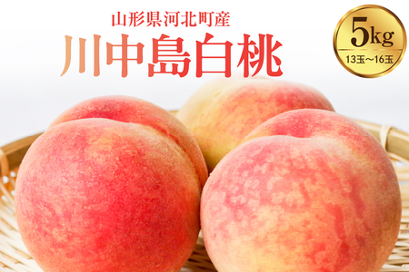 【令和8年産】川中島白桃 5kg（特秀 13玉～16玉）山形県河北町産 【河北町観光物産協会】 特秀 川中島 ka002-002-r8