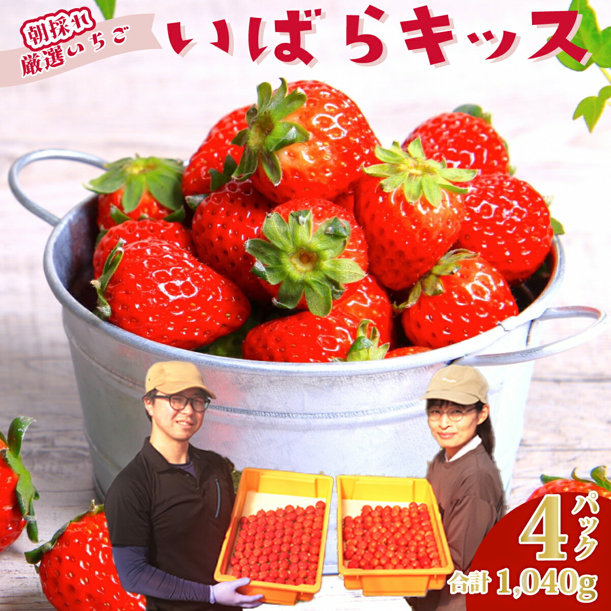 【ふるさと納税】いちご いばらキッス 約260g×4パック | いちご 苺 イチゴ いばらキッス ブランド苺 新鮮 朝採れ フルーツ 大きい 果物 デザート 贈り物 人気 高級 ギフト お取り寄せ 完熟 はる農園 茨城県 常陸太田