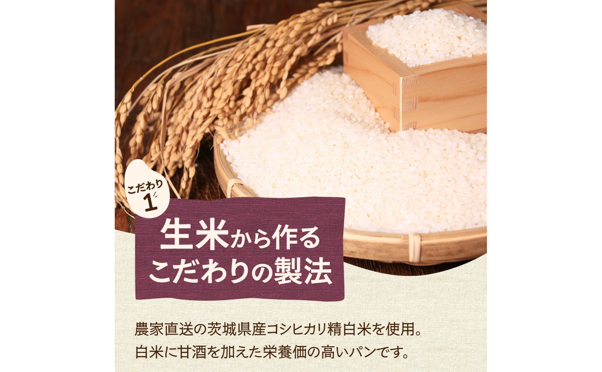 ずっしり＆もっちり！冷凍生米食ぱん 茨城県産こしひかり100% プレーン＆ココア2本 | パン 食パン 朝食 グルテンフリー 長時間発酵 添加物不使用 ぱん こしひかり プレーン もちもち 米 白米 