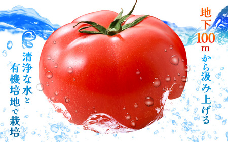 新鮮トマト 1ケース 約4㎏ (16～24玉入) ～三つ星クオリティ☆坂井の大自然が育てた、もぎたて新鮮トマト～【とまと トマト 野菜 生野菜 新鮮 リコピン ビタミン ダイエット 美容 美肌 産地直