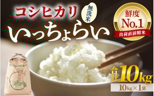 【先行予約】【令和7年産・新米】【一等米】いっちょらい 無洗米 10kg×1袋 ／ 福井県産 ブランド米 コシヒカリ ご飯 白米 新鮮 大賞 受賞 【2025年9月下旬より順次発送予定】 [aw012-b014]
