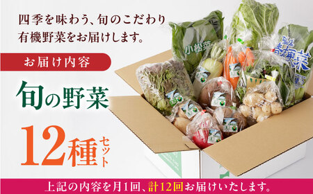 【全12回定期便】四季を味わう野菜セット【株式会社 肥後やまと】[YAF022]