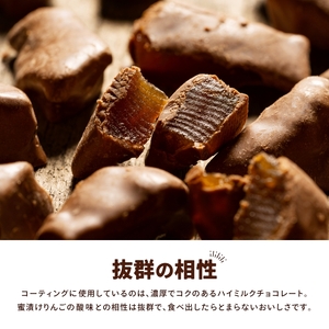 アップルチョコレートミルク450g【fktr0009】