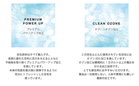 抗菌防臭加工付き羽毛使用　羽毛掛けふとん　ホワイトダックダウン70％　シングル ブラウン