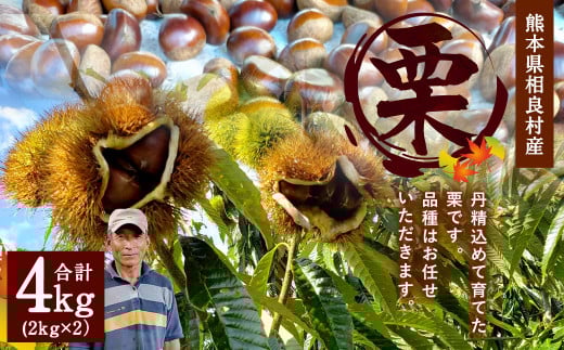 熊本県 相良村産 栗（品種おまかせ） 合計4kg 2kg×2袋 くり クリ 【2025年8月下旬発送開始】