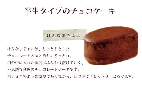 H-29 はんなまちょこ15個