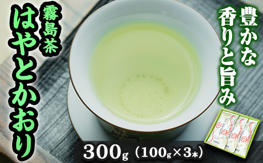 
A-019 霧島茶 はやとかおり 雅 詰合せ(100g×3本)【マル竹園製茶】霧島市 緑茶 茶葉 お茶 日本茶
