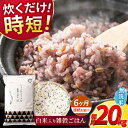 【ふるさと納税】【全6回定期便】水研ぎ不要 雑穀ごはん 無洗米 20kg 【有限会社 農産ベストパートナー】[ZBP155] 雑穀米 雑穀 米 無洗米 無洗 健康 美容 ダイエット 栄養 食物繊維 黒米 もち麦 ひのひかり 人気 時短 おすすめ ランキング 口コミ 熊本県産 山鹿 送料無料