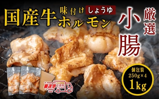 小腸セット　特製自家製しょうゆダレ漬け 250gx4袋 1kg　ホルモン しょうちょうセット 焼肉用 肉 ダレ付き 小分け 冷凍 ギフト 大容量