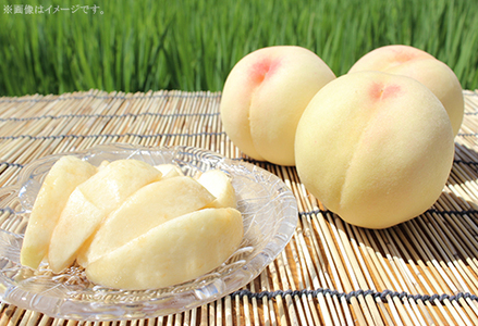 【ご家庭用】おかやまの桃 約1.3kg（5～6玉）