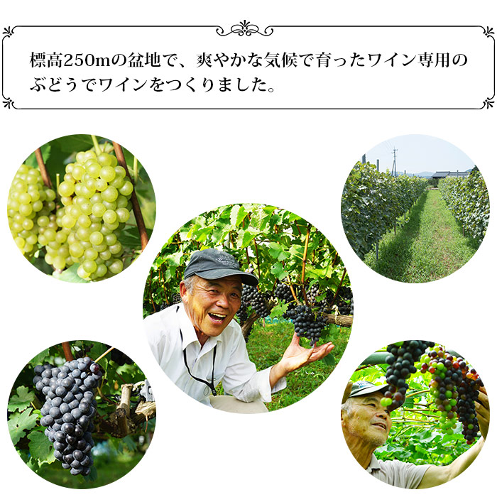 光ワイン（「赤」「ロゼ」各1本セット） 「赤」「ロゼ」各1本セット（寄附額26,000円）