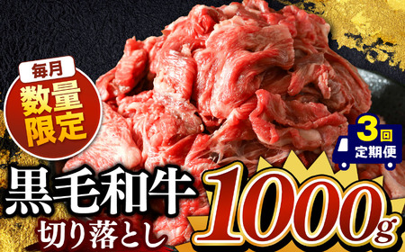 【定期便3回】栃木県産黒毛和牛切り落とし　1000g 真岡市 栃木県 送料無料