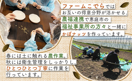 北海道恵庭産　おうちでかぼナッツ　100g×3袋【67006】