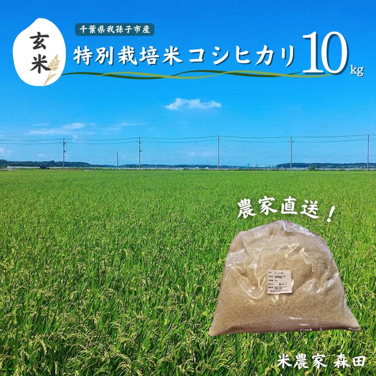 AT002-b 【冷めても美味しい】農家直送 千葉県産 特別栽培米コシヒカリ 10kg（玄米）