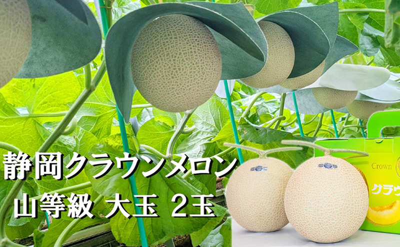 クラウンメロン山等級1.4kg前後　2玉入り 果物 メロン青肉 フルーツ デザート 高級メロンブランド 高級メロン ブランドメロン