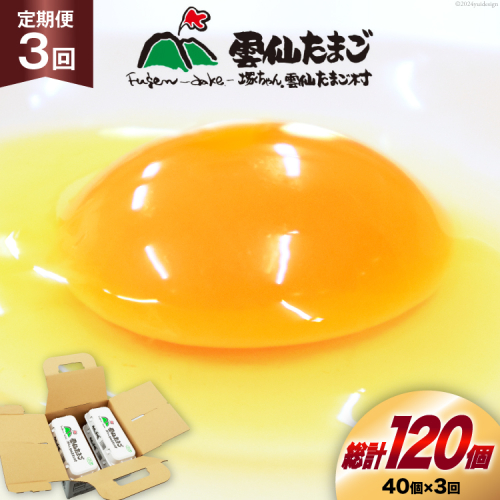 BI031 3回 定期便 雲仙たまごLサイズ 40個 (10個入り×4パック) (37個＋割れ補償3個入り) [ 卵 たまご 生卵 鶏卵 赤卵 玉子 新鮮 塚ちゃん雲仙たまご村 長崎県 島原市 ]