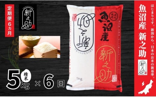 【 定期便 6ヶ月 】 米 5kg × 6回 令和7年産 新米 中魚沼産 新之助 | しんのすけ お米 おこめ 米 こめ 白米 精米 ブランド米 おすすめ ご飯 ごはん 新潟県 津南町