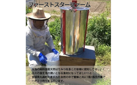 丸森町産純粋 生はちみつ「心」140g×2個【13101】