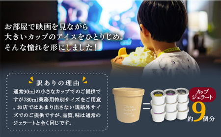 COZAB GELATO 訳あり 大容量 ひとりじめサイズ 6個セット アイスクリーム アイス ジェラート 山形県 山形市 FY25-277
