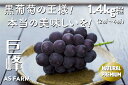 【ふるさと納税】 ぶどう 巨峰 約1.4kg 2房～4房 黒ブドウ 甲州市 果物 フルーツ 濃厚 甘い 酸味 種無し 期間限定 数量限定 【2025年発送】(ASF) 【B-146】