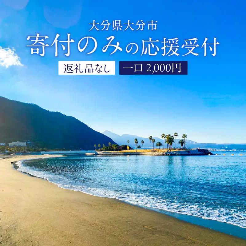 大分県大分市 返礼品なし（寄附のみの受付となります） 一口2,000円 Z03002