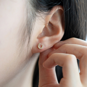 馬蹄ピアス 14kgf ×シルバー925  装蹄師手作り