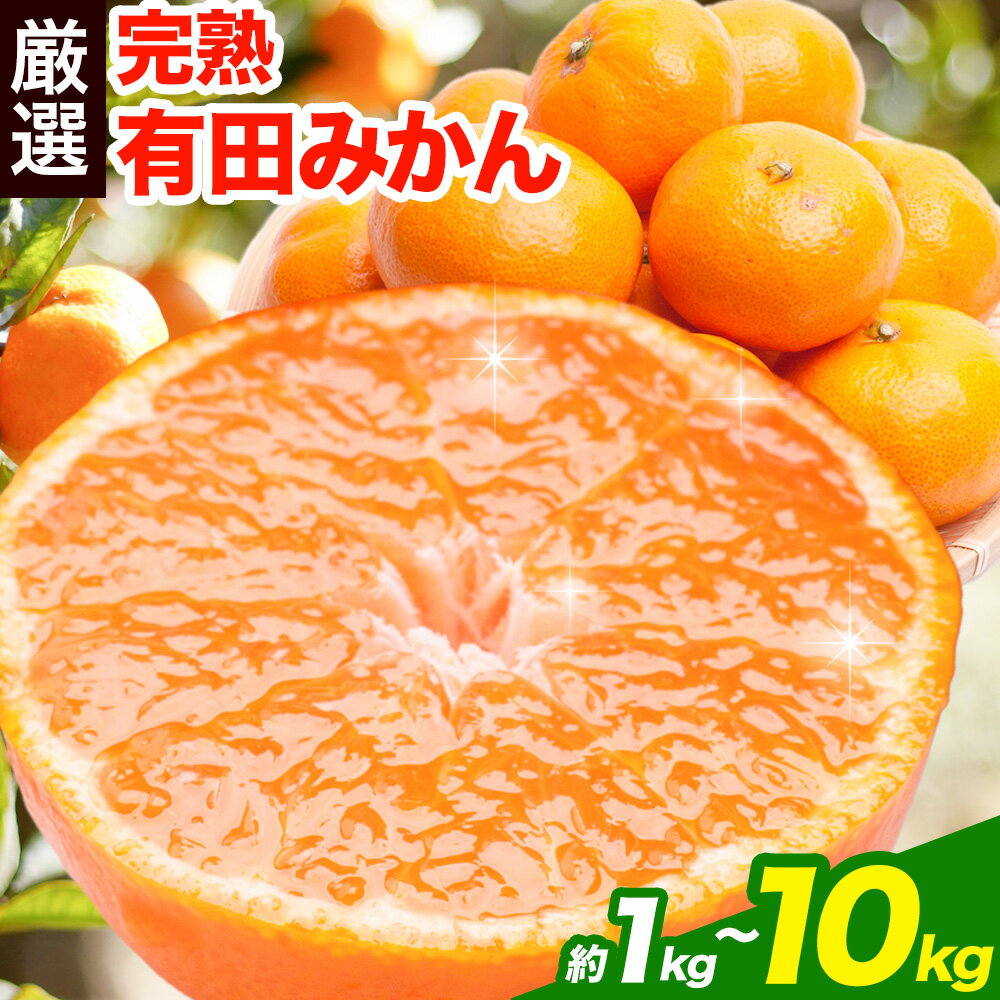 【ふるさと納税】プレミアム 完熟有田みかん 約1kg 約2.5kg 約5kg 約10kg ＋250g （ 傷み補償分 ）【光センサー選果】 池田鹿蔵農園@日高町（池田農園株式会社）《11月中旬-1月下旬頃出荷》和歌山県 日高町 みかん【配送不可地域あり】