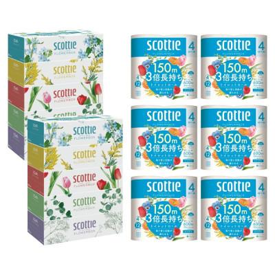 ふるさと納税 八代市 【毎月定期便】【スコッティ】ティシュー 5箱P×2+トイレット 4ロール(シングル)P×6全3回 |  | 01