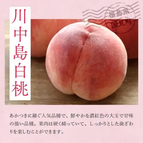 透過式光センサー川中島白桃 特秀3kg相当 9玉～11玉＜ ふくしま未来農業協同組合 ＞ | ふくしま 桃 福島 もも 国見 モモ ※2026年8月中旬頃より順次発送予定 ※沖縄・離島への配送不可