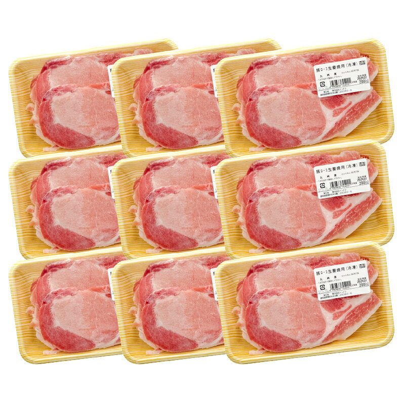 【ふるさと納税】九州産豚ロース生姜焼き用1.8kg ［200g×9パック］ 国産 九州産 豚肉 豚 ロース 豚ロース 小分け 生姜焼き 冷凍 冷凍保存【株式会社ナンチク】